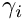 $\gamma_i$